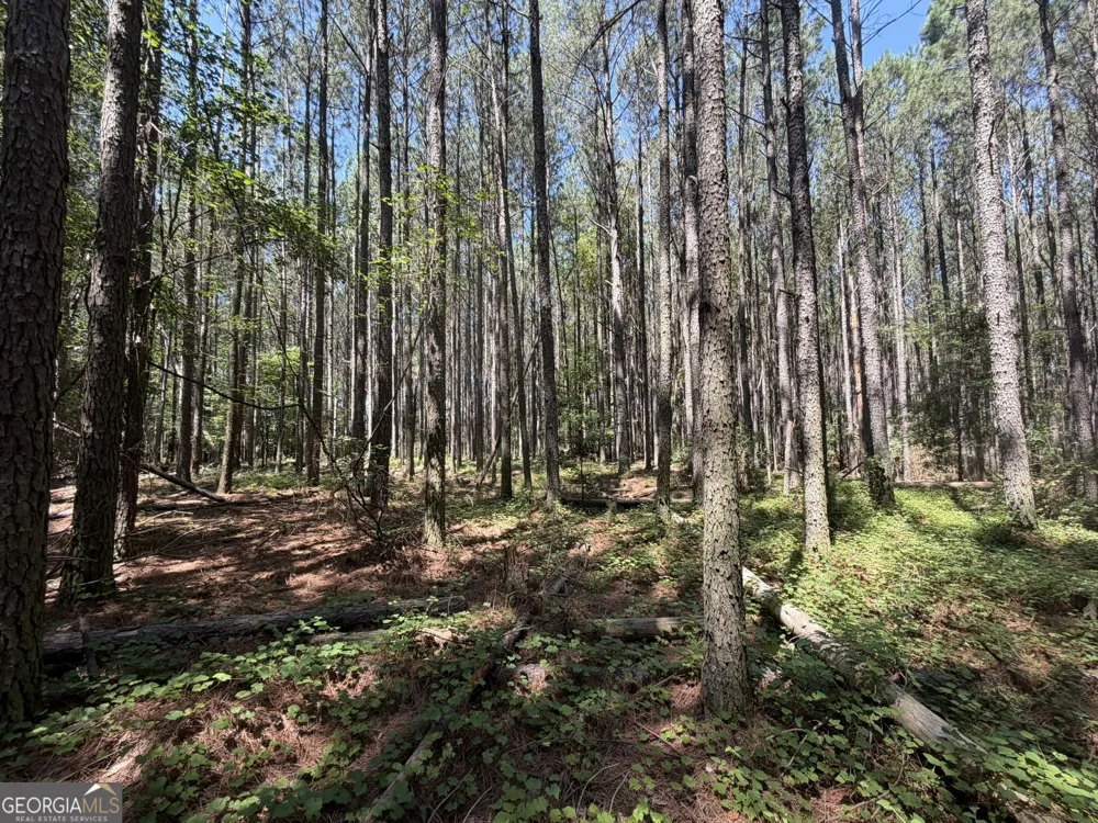0 Hulmes Chapel Elberton, GA 30635