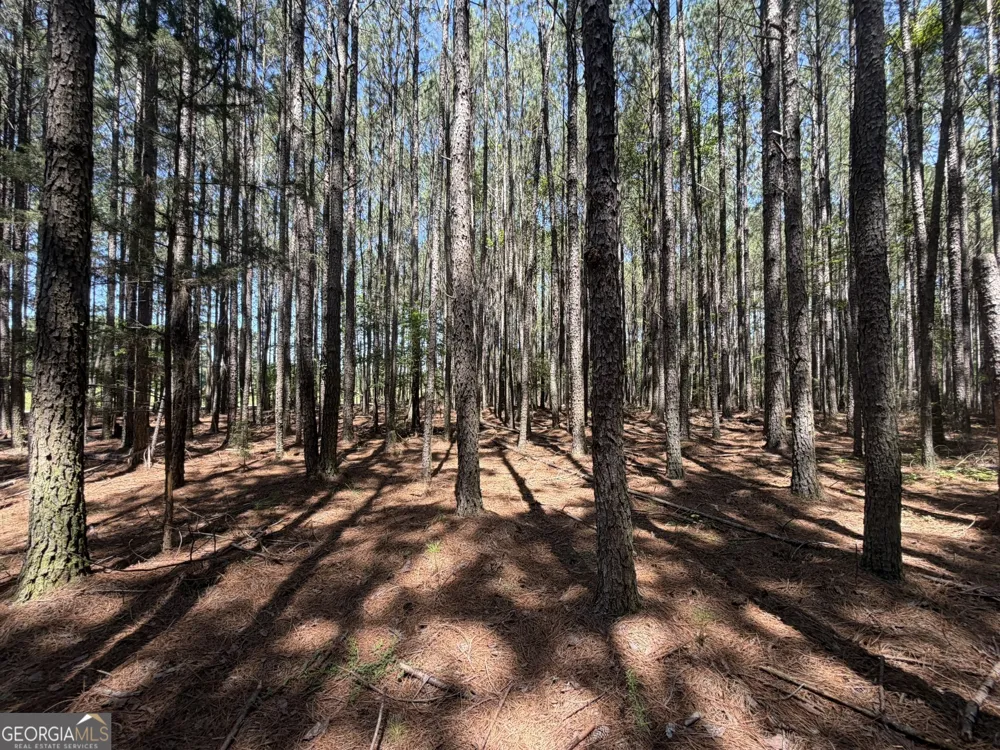 0 Hulmes Chapel Elberton, GA 30635