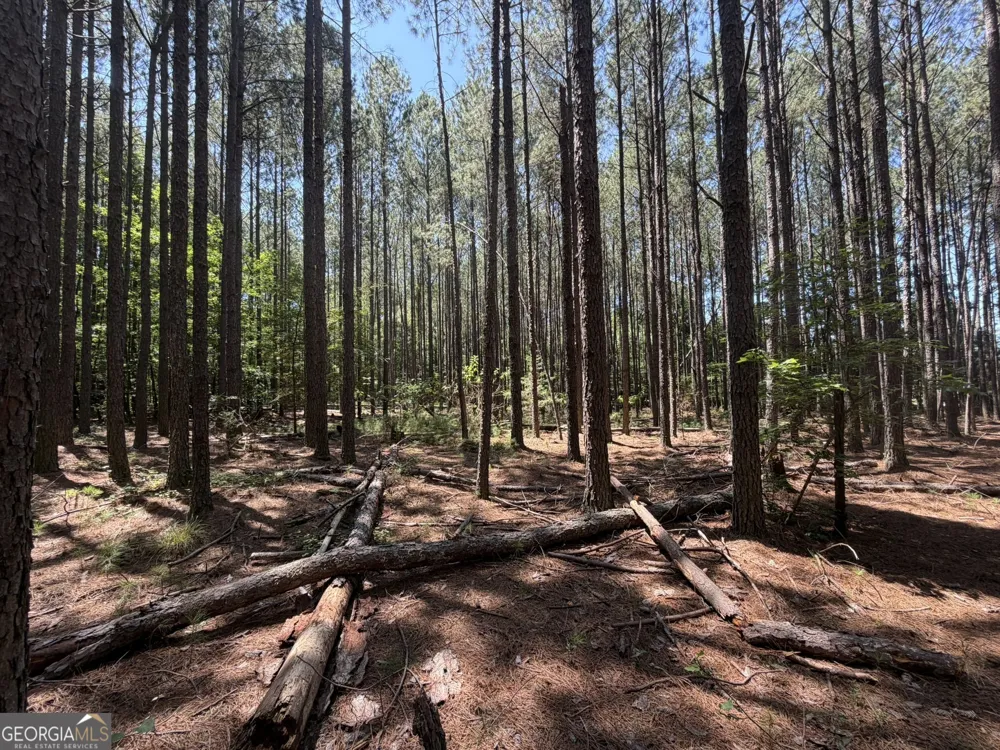 0 Hulmes Chapel Elberton, GA 30635