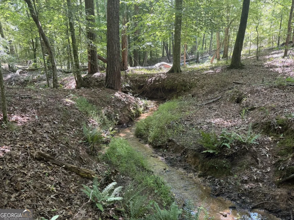 0 Ruckersville RD Elberton, GA 30635