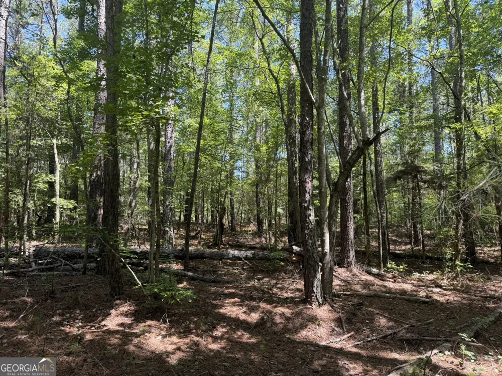 0 Ruckersville RD Elberton, GA 30635