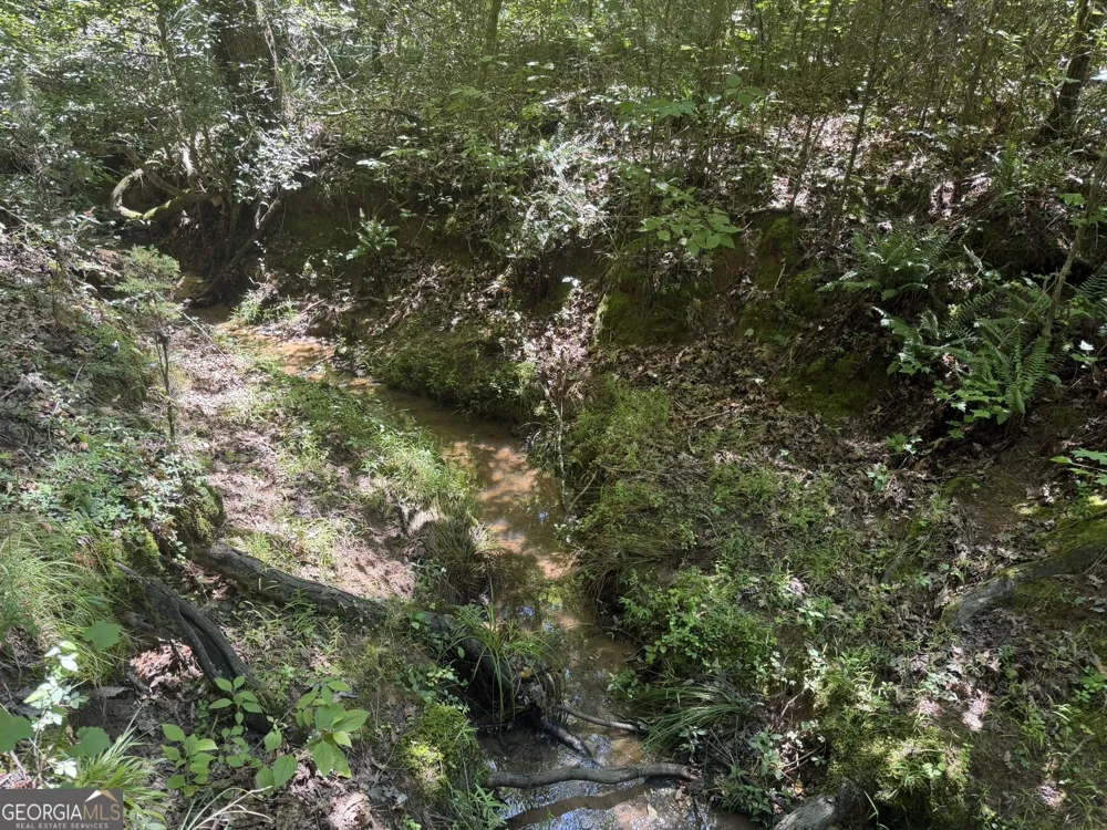 0 Ruckersville RD Elberton, GA 30635