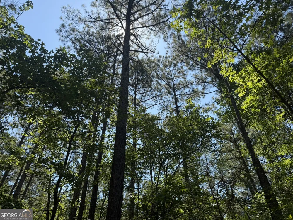 0 Ruckersville RD Elberton, GA 30635