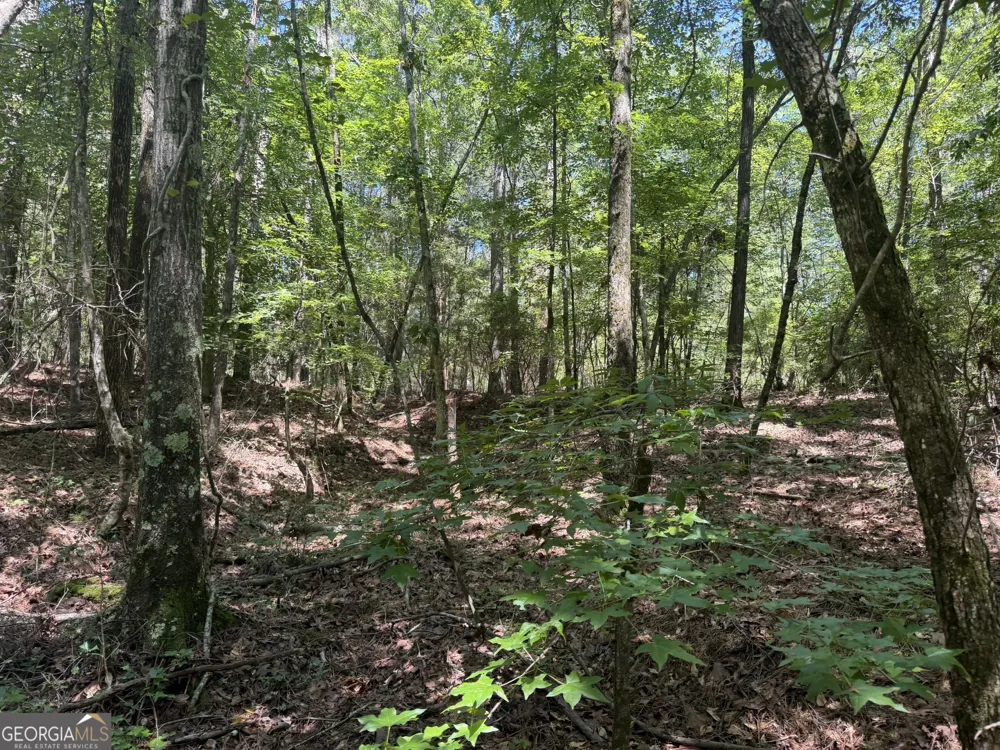 0 Ruckersville RD Elberton, GA 30635