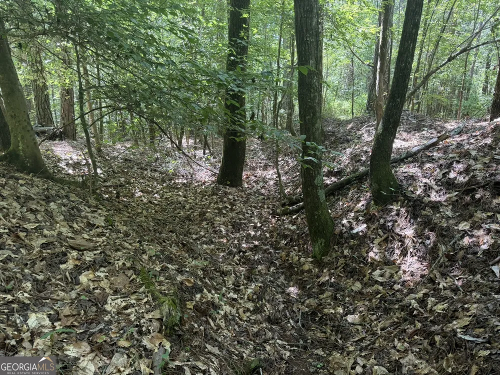 0 Ruckersville RD Elberton, GA 30635