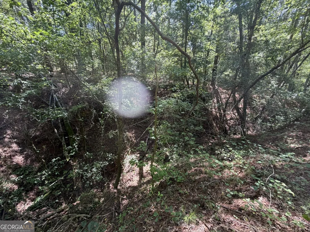 0 Ruckersville RD Elberton, GA 30635