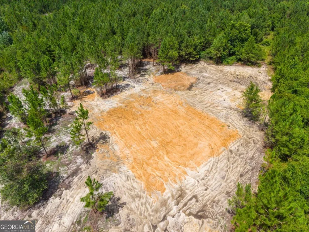 381 Findley Cemetery RD Lyons, GA 30436