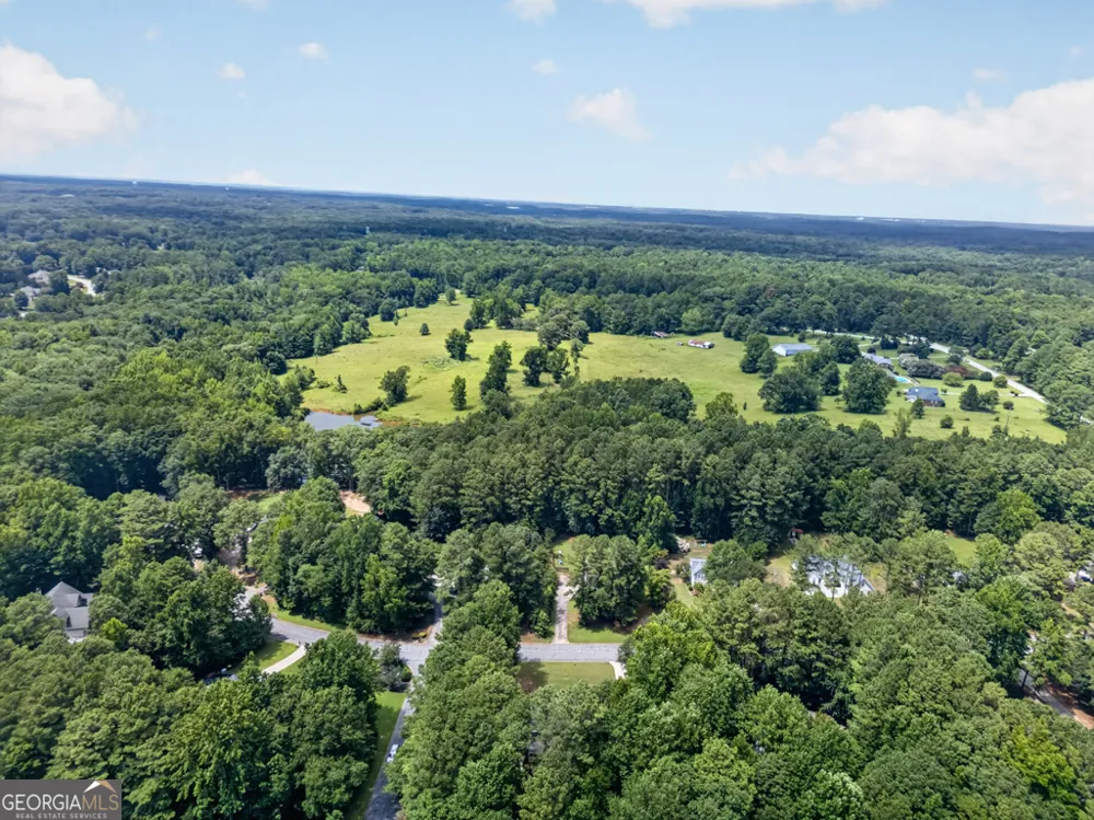 60 Tyler Woods DR Sharpsburg, GA 30277