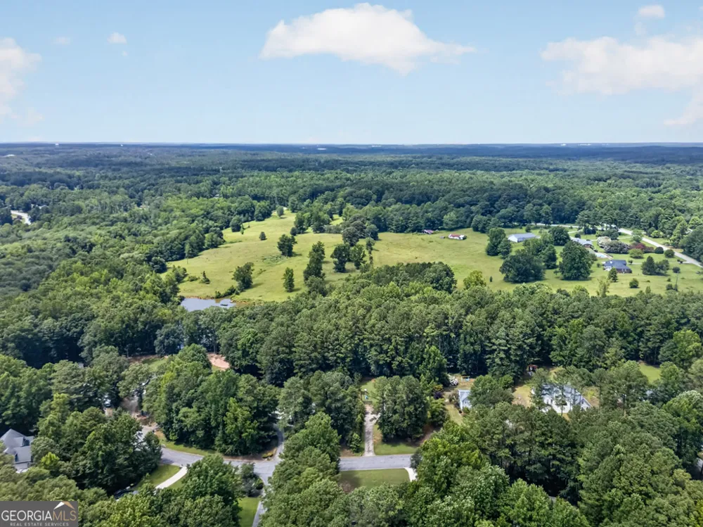 60 Tyler Woods DR Sharpsburg, GA 30277