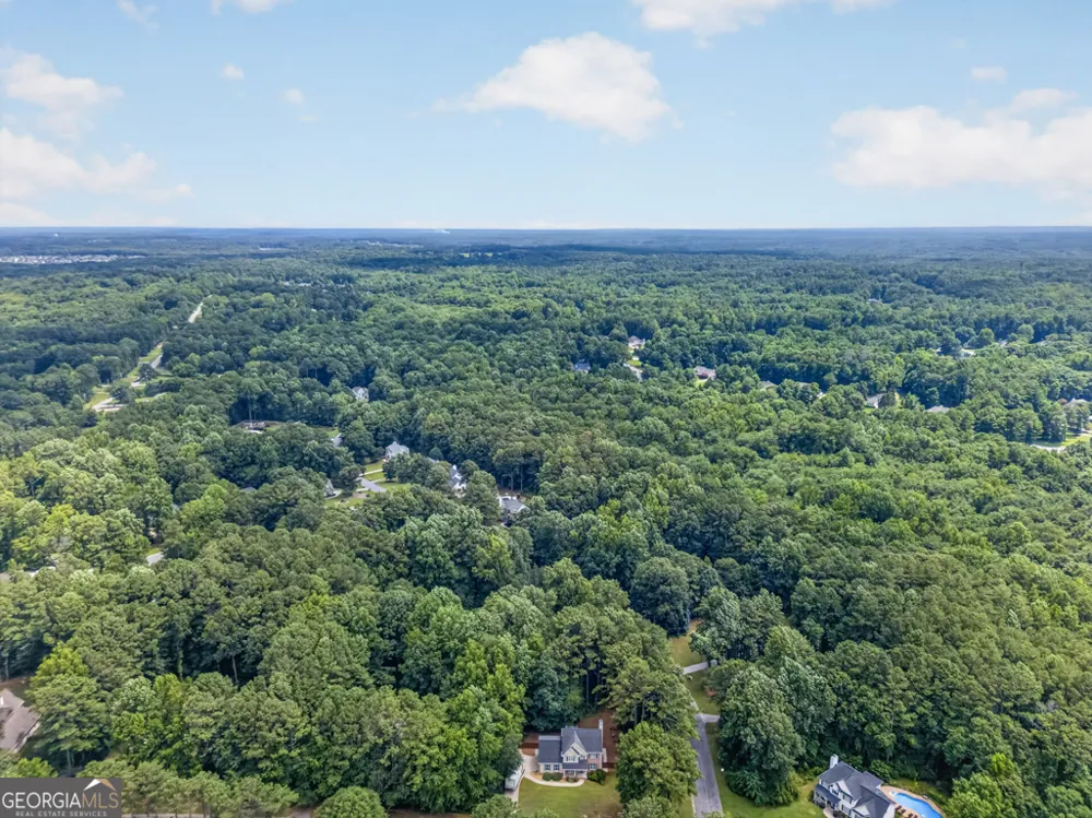 60 Tyler Woods DR Sharpsburg, GA 30277
