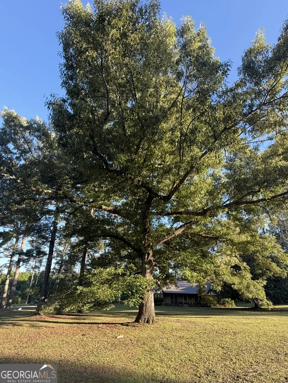 46 Redmond RD Lumpkin, GA 31815