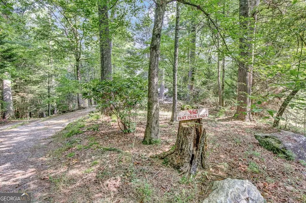 450 Flat Creek CIR Blue Ridge, GA 30513