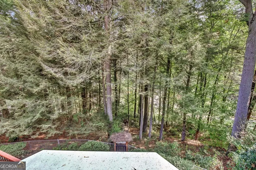 450 Flat Creek CIR Blue Ridge, GA 30513