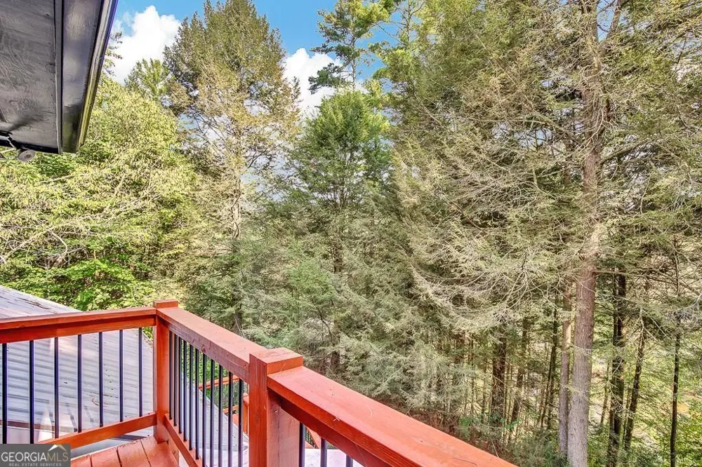 450 Flat Creek CIR Blue Ridge, GA 30513