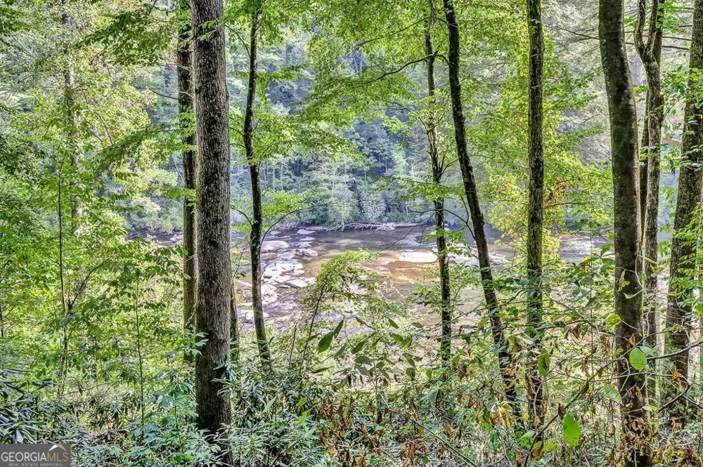 450 Flat Creek CIR Blue Ridge, GA 30513