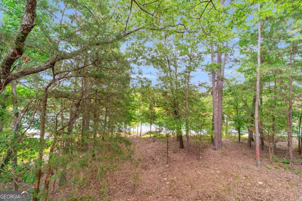27 Classic DR Hartwell, GA 30643