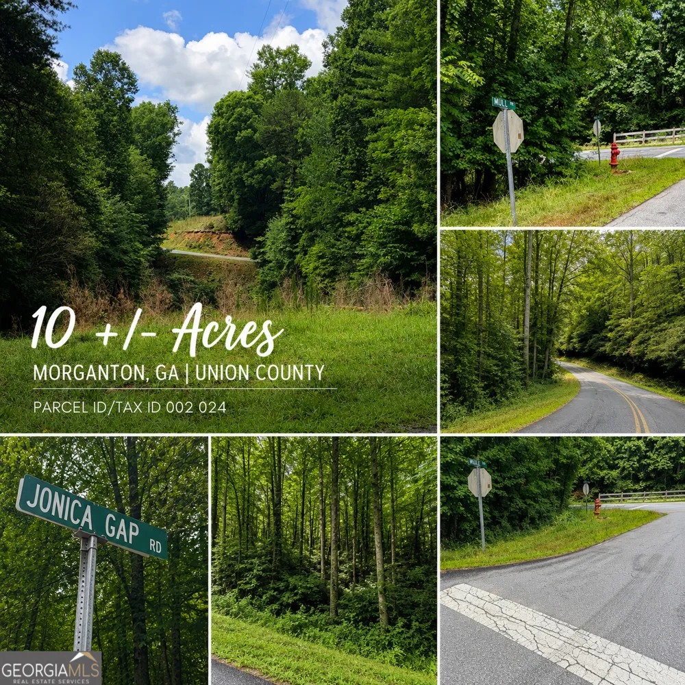 0A Jonica Gap RD Morganton, GA 30560