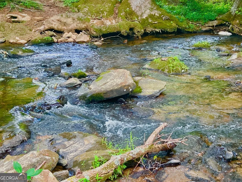 193 Opossum RD Blairsville, GA 30512