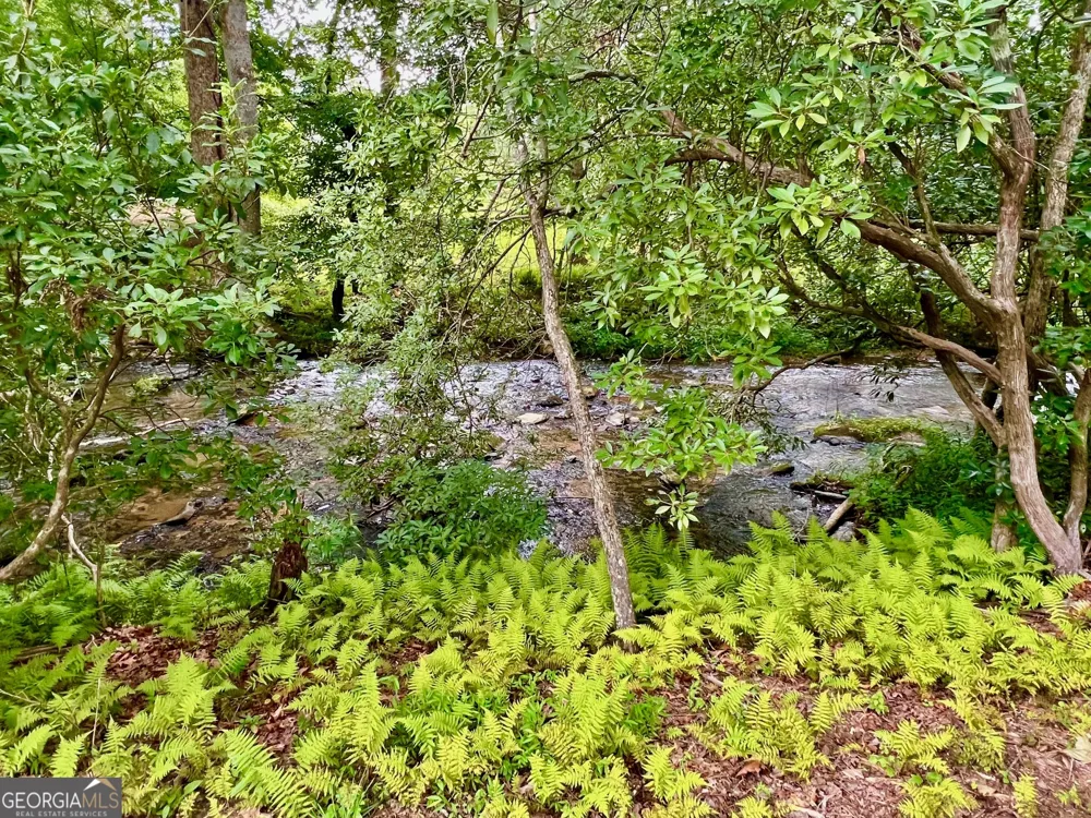 193 Opossum RD Blairsville, GA 30512