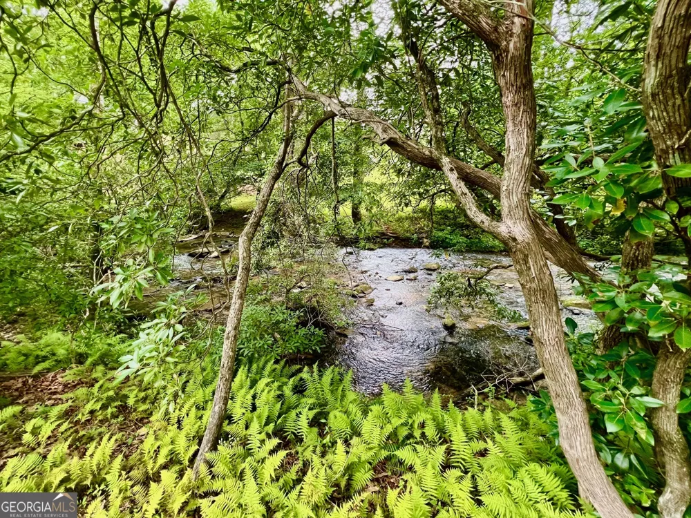 193 Opossum RD Blairsville, GA 30512