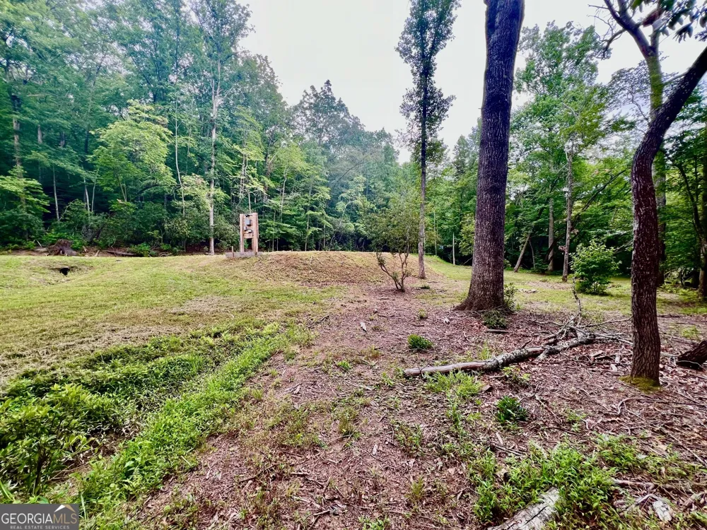 193 Opossum RD Blairsville, GA 30512