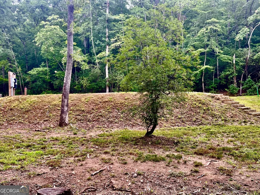 193 Opossum RD Blairsville, GA 30512