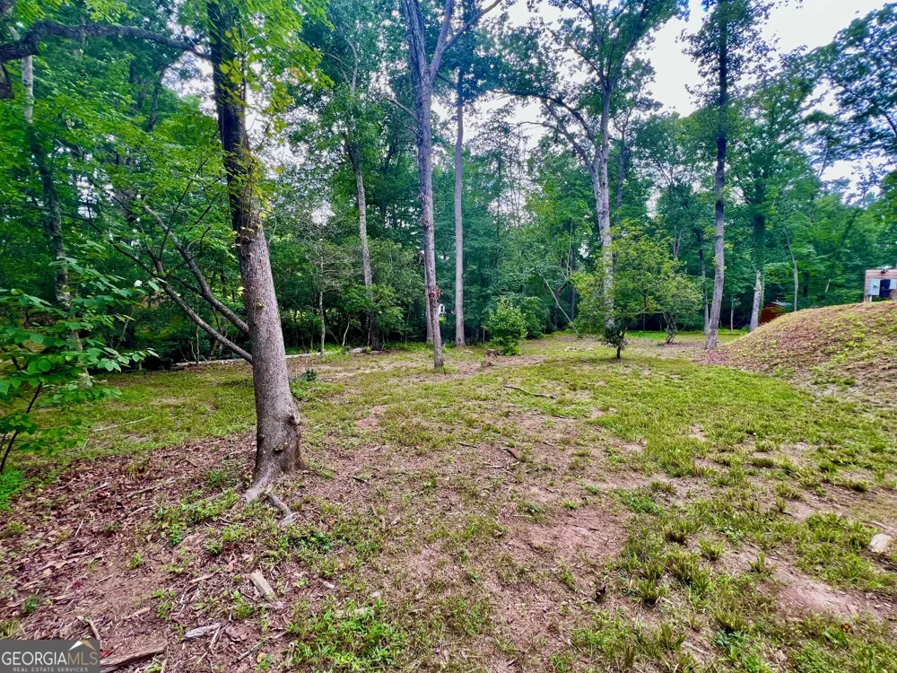 193 Opossum RD Blairsville, GA 30512