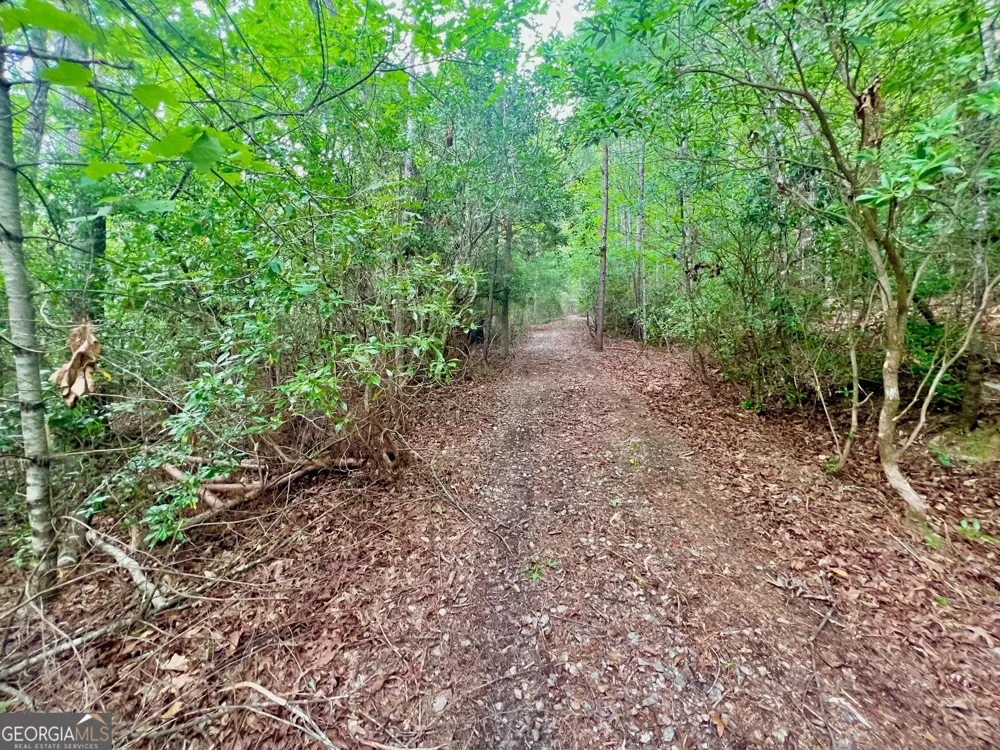 193 Opossum RD Blairsville, GA 30512