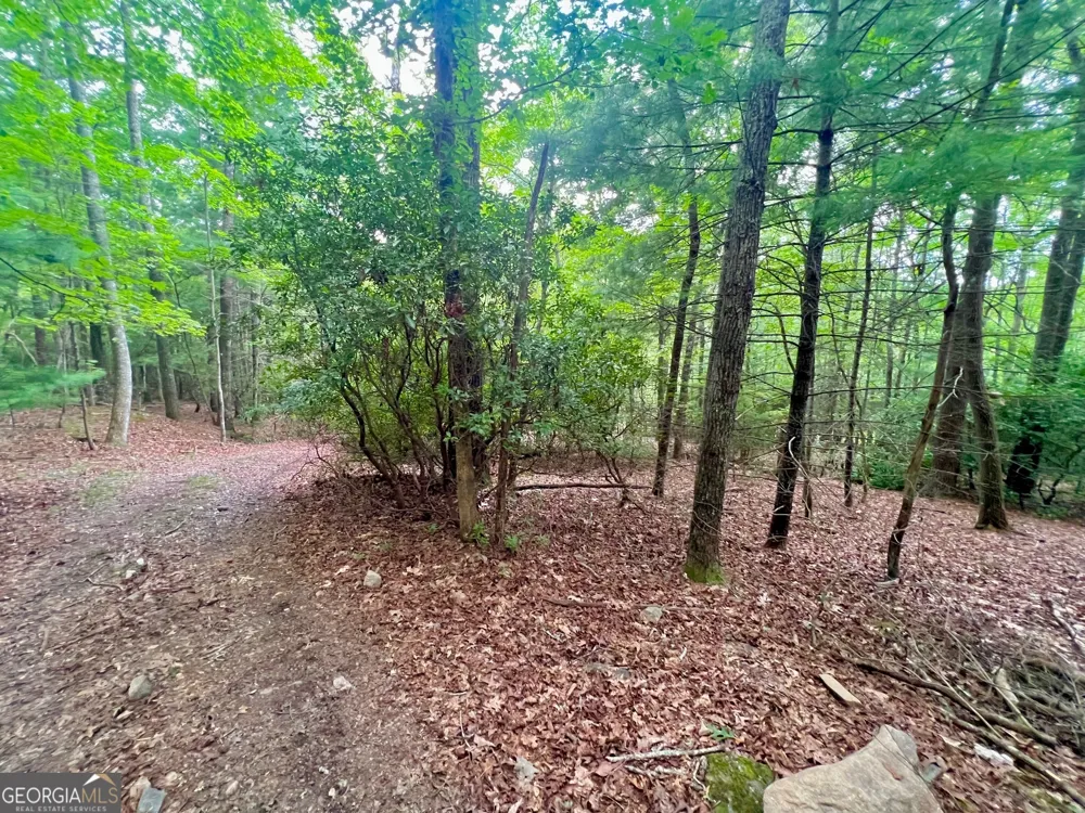 193 Opossum RD Blairsville, GA 30512