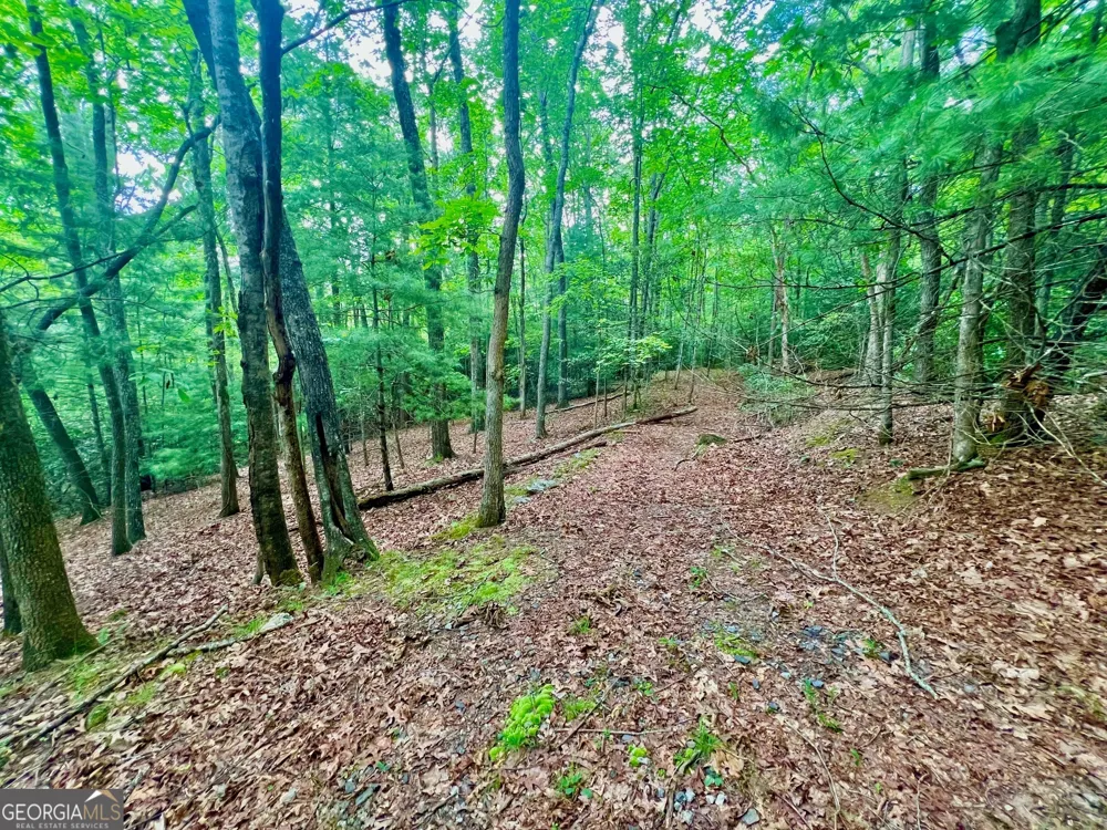 193 Opossum RD Blairsville, GA 30512