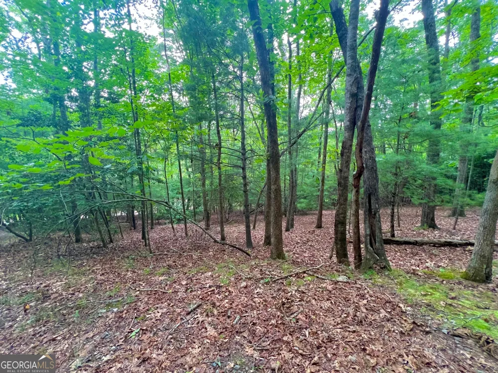 193 Opossum RD Blairsville, GA 30512