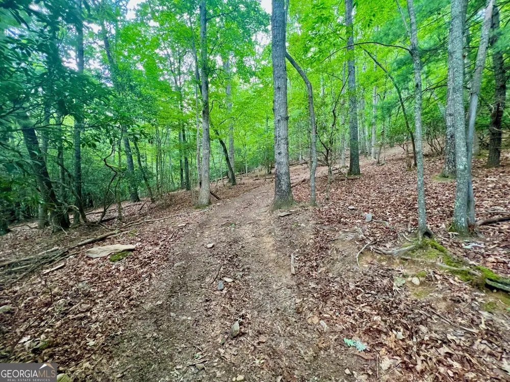 193 Opossum RD Blairsville, GA 30512
