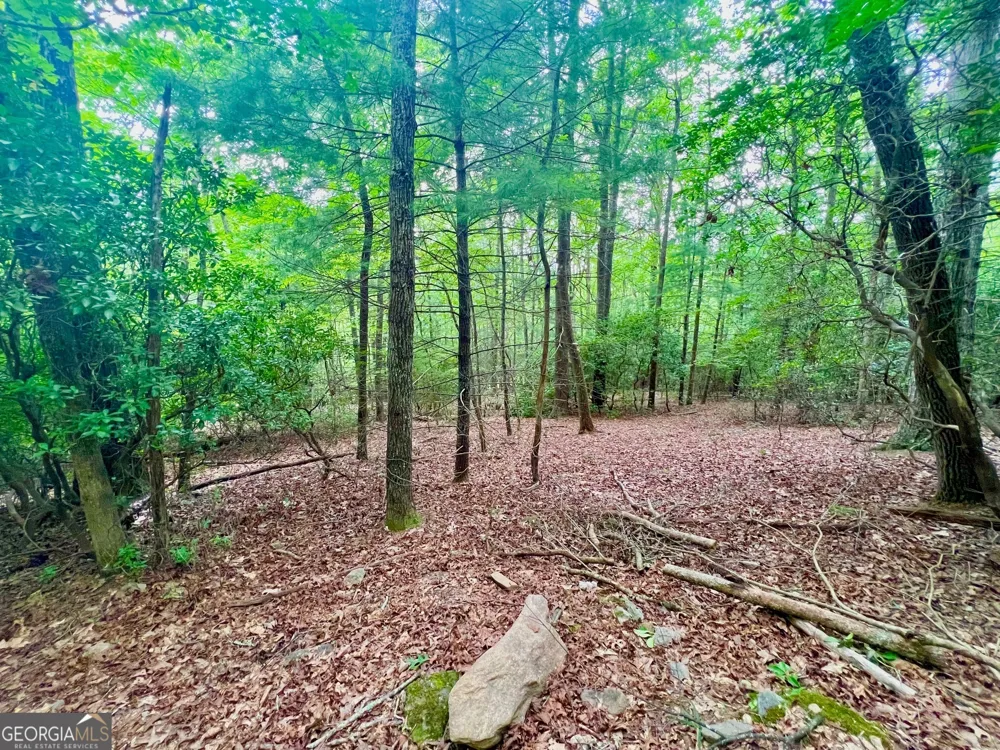 193 Opossum RD Blairsville, GA 30512
