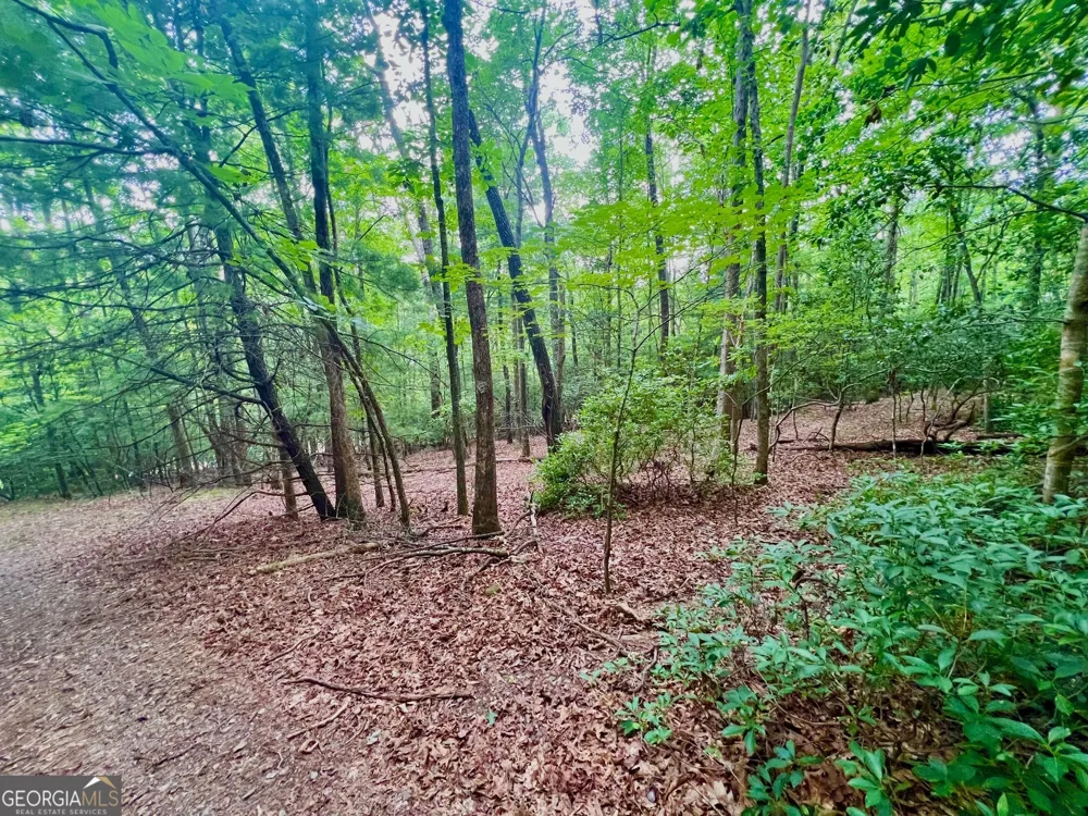193 Opossum RD Blairsville, GA 30512