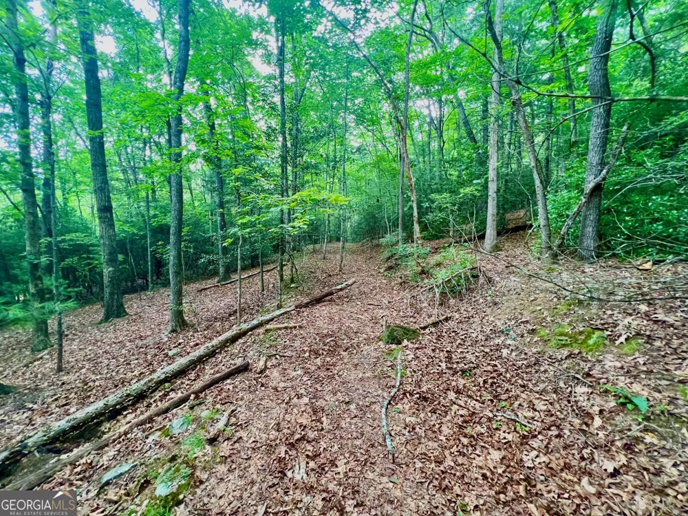193 Opossum RD Blairsville, GA 30512