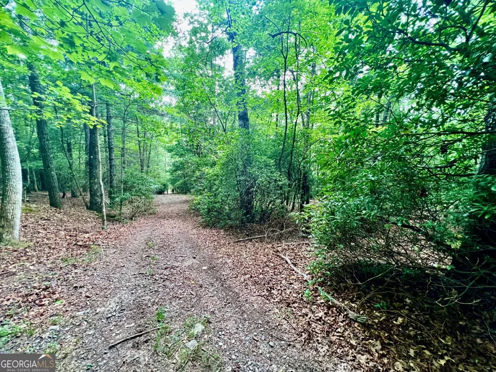 193 Opossum RD Blairsville, GA 30512