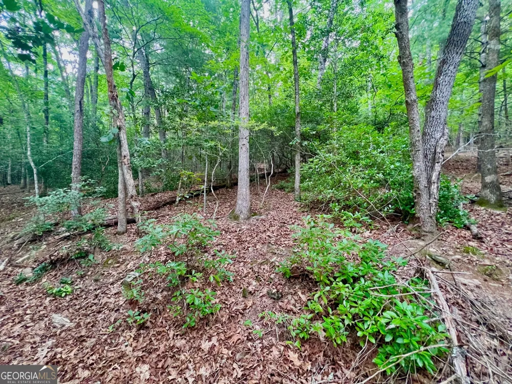 193 Opossum RD Blairsville, GA 30512