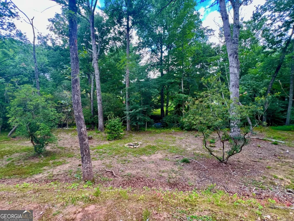193 Opossum RD Blairsville, GA 30512