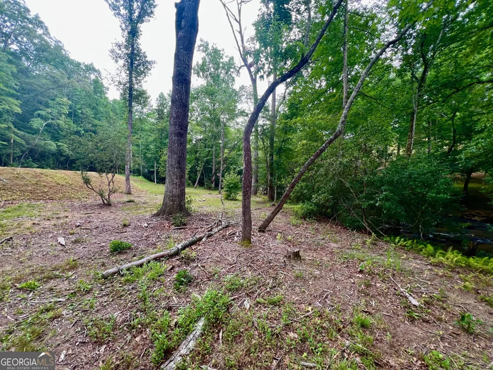 193 Opossum RD Blairsville, GA 30512