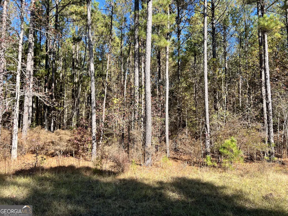 LOT #39 Mariners WAY Lincolnton, GA 30817