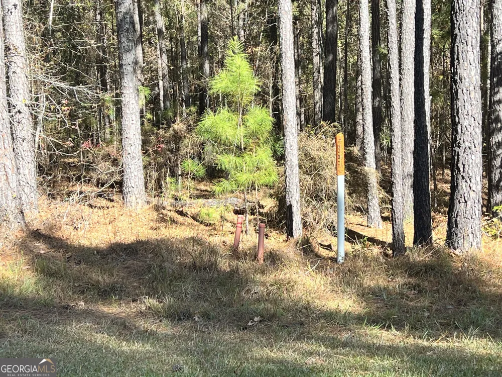 LOT #41 Mariners WAY Lincolnton, GA 30817