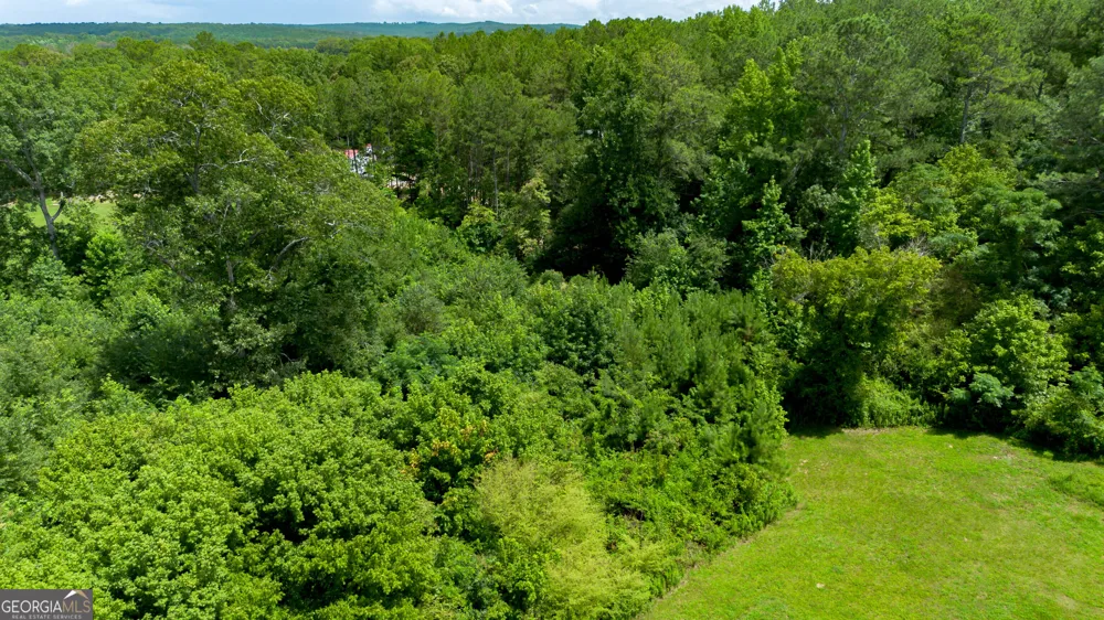 TRACT 5 Couinty Road 447 Heflin, AL 36264