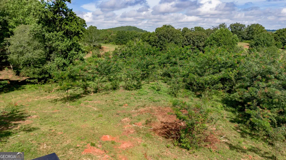 5967 County Road 19 Heflin, AL 36264
