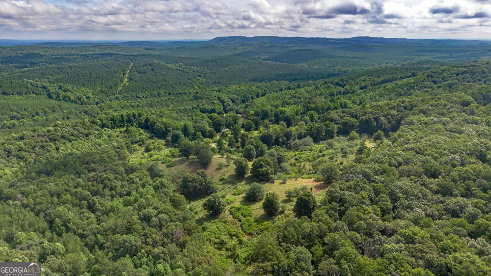 5967 County Road 19 Heflin, AL 36264