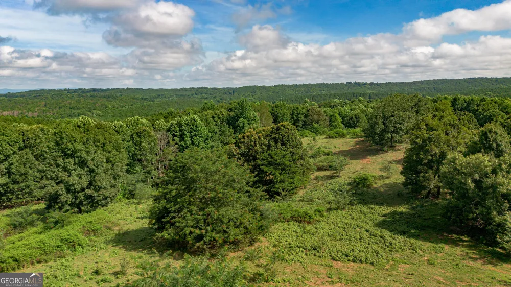 5967 County Road 19 Heflin, AL 36264