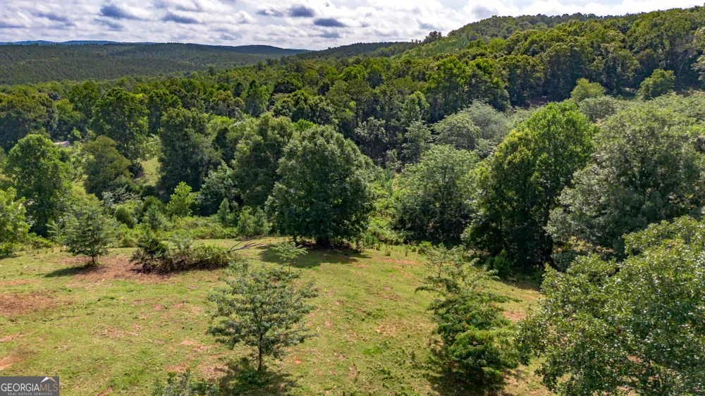 5967 County Road 19 Heflin, AL 36264