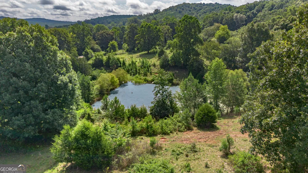 5967 County Road 19 Heflin, AL 36264