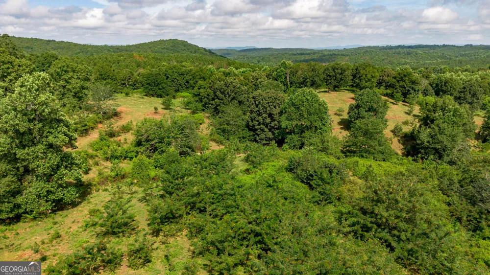 5967 County Road 19 Heflin, AL 36264