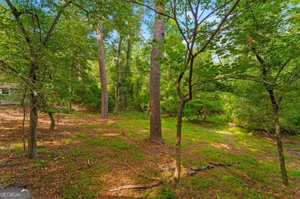 231 Lexington Avenue Ext Rincon, GA 31326