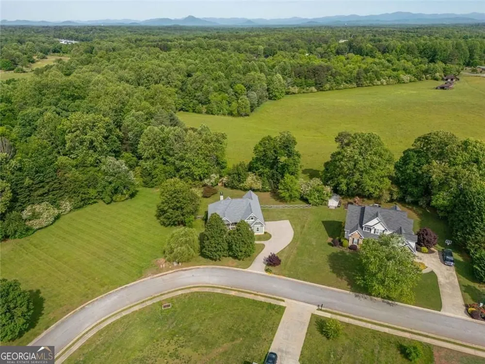 190 Towerview CIR Mount Airy, GA 30563